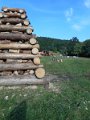 Vatra 2018  40